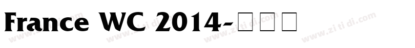 France WC 2014字体转换